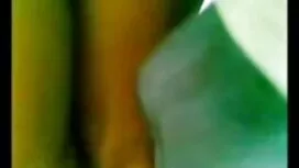 الشعر مضيفة المقلية  ...