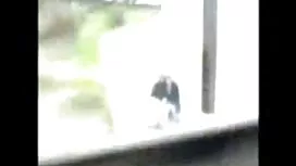 الفتاة ، ولا شك ، يظ ...