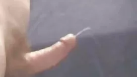 الحمار كبيرة متجرد.  ...