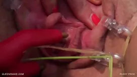 الجنس مع الجمال في ا ...